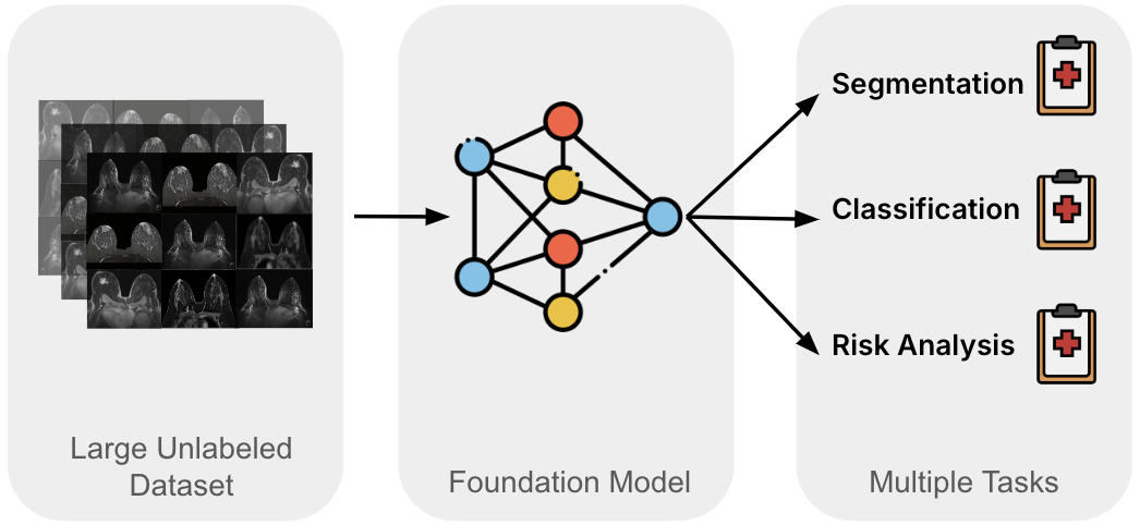 Foundation Models in Medical Imaging: A Review and Outlook